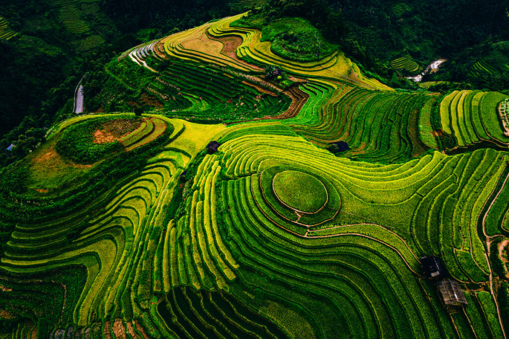 Cerros con terrazas de arroz en Sa Pa, Vietnam