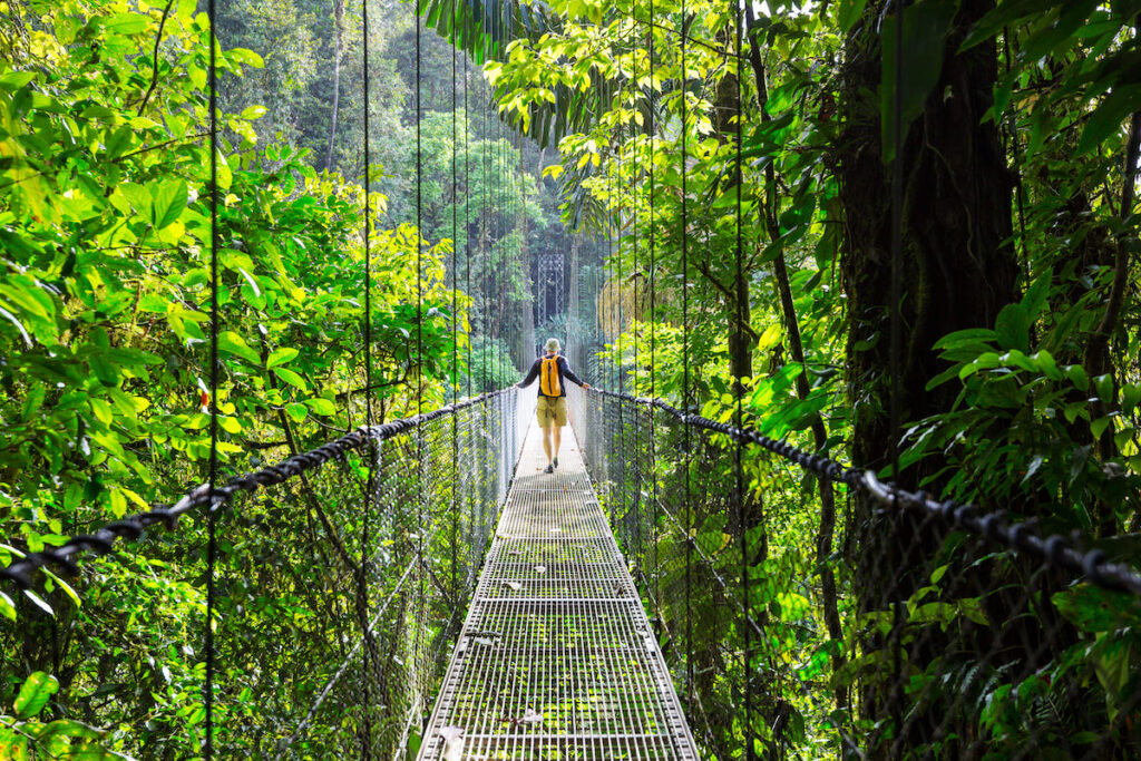 Puente colgante en Costa Rica