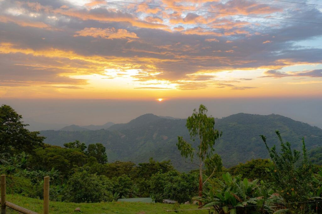 Puesta de sol en la selva colombiana