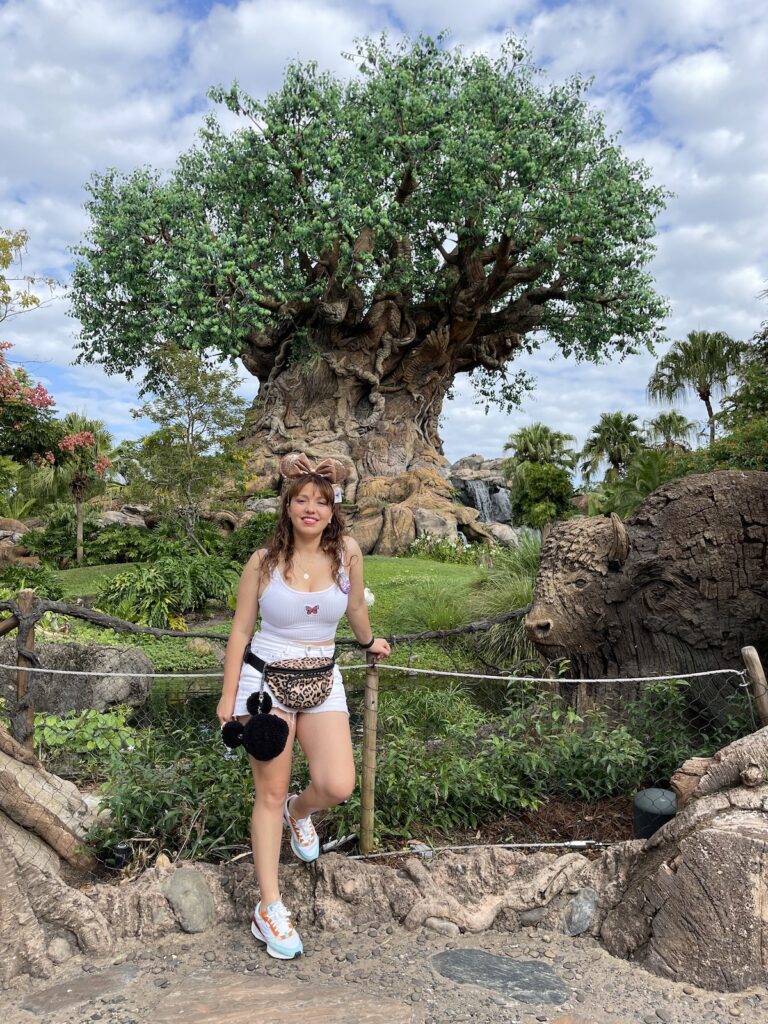 El árbol de la vida en el parque temático de Animal Kingdom en Walt Disney World Resorts