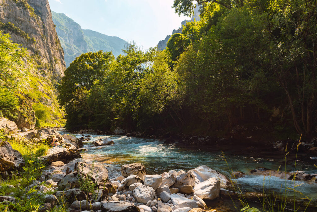 Senderismo en el Parque Nacional de Tijuca