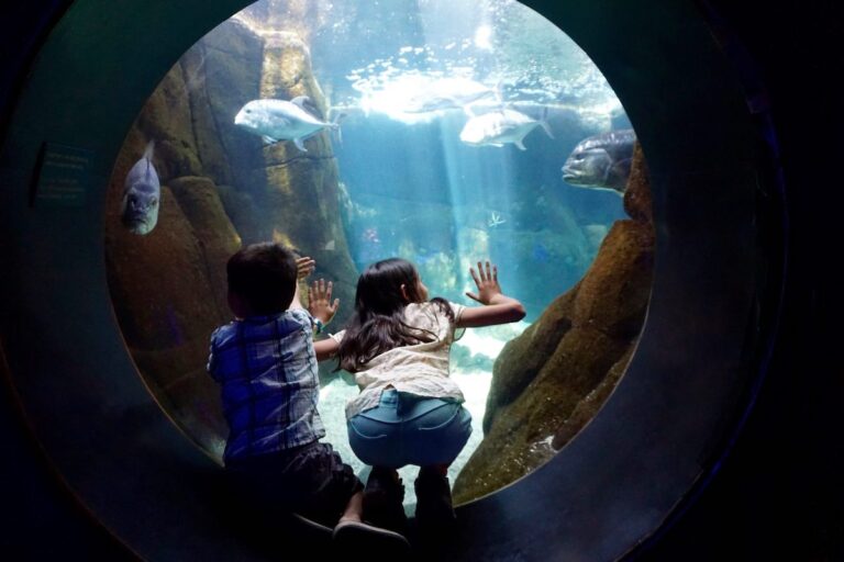 Dos niños en el Acuario de Río de Janeiro