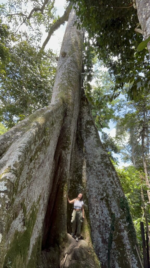 Milagros Estévez, supervisora de Ventas de Jetmar, en su viaje por la Selva Amazonas conociendo el árbol más grande se la selva