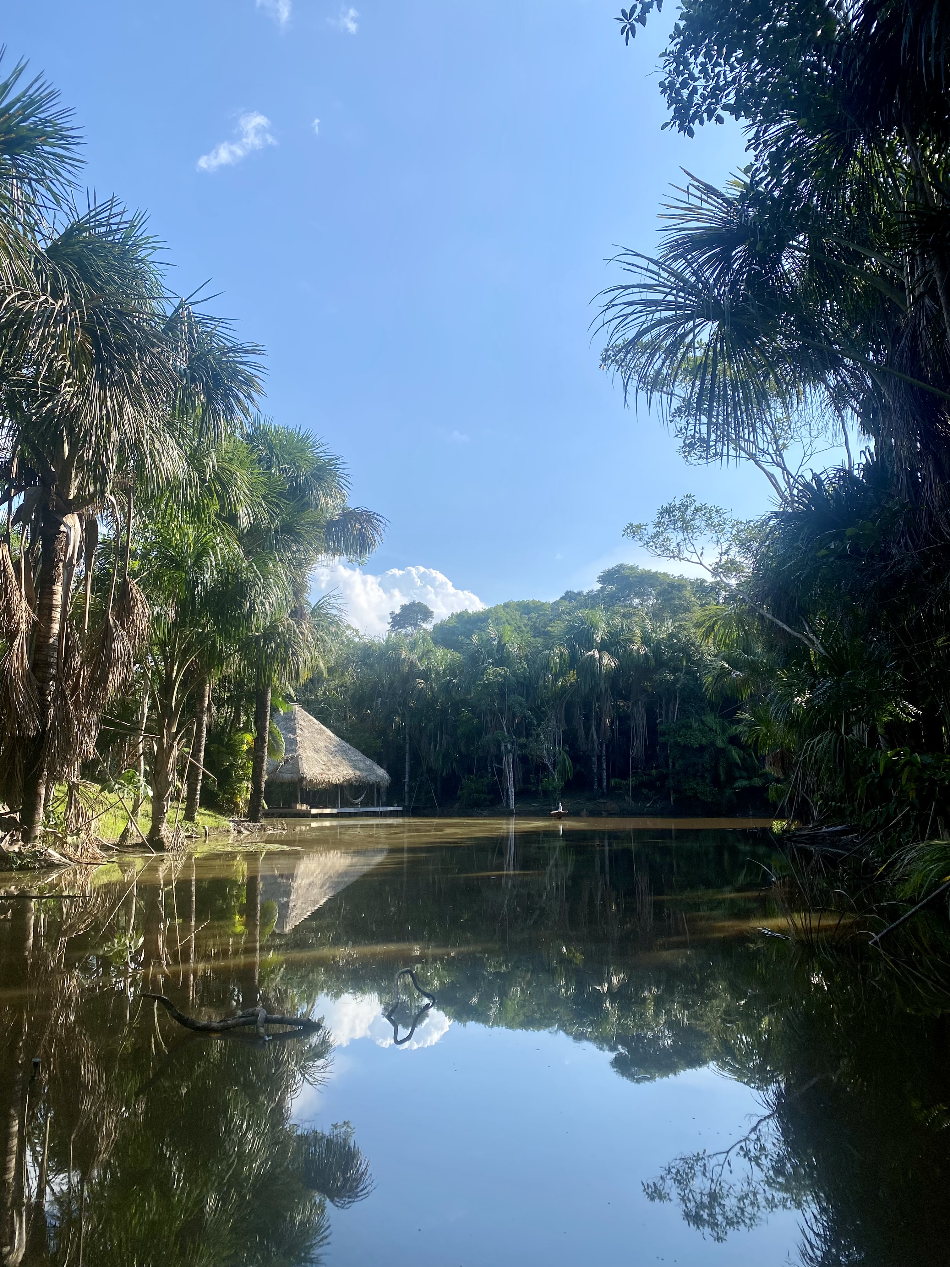 Paisaje del Río Amazonas