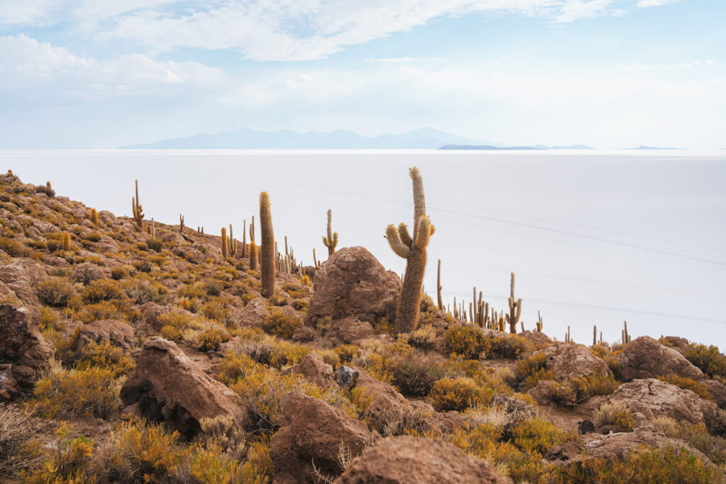  Isla Incahuasi en el Salar de Uyuni en Bolivia 