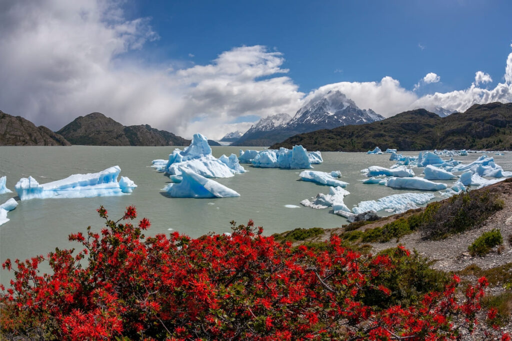 Trozos de glaciar en el Parque Nacional Torres del Paine, Chile