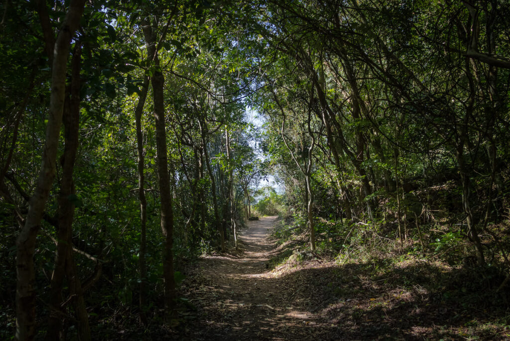 Senderos en la naturaleza en Florianópolis, Santa Catarina