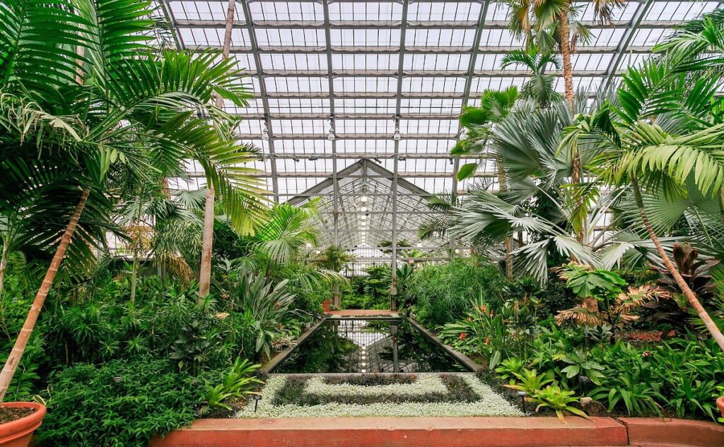 Garfield Park Conservatory, un jardín botánico en Chicago, Estados Unidos
