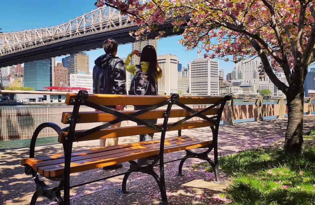 primavera en nueva york, viajá junto a Jetmar