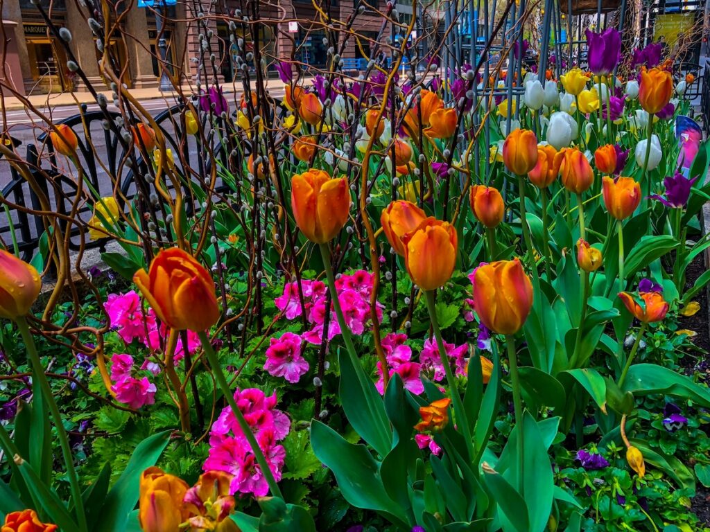 primavera en nueva york