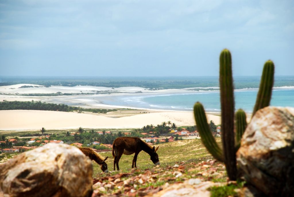 Jericoacoara, Brasil. Viajá desde Uruguay.
