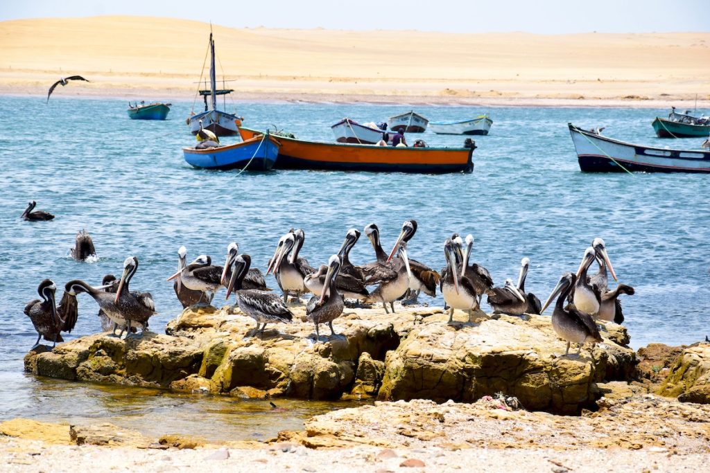Jericoacoara, Brasil. Viajá desde Uruguay.