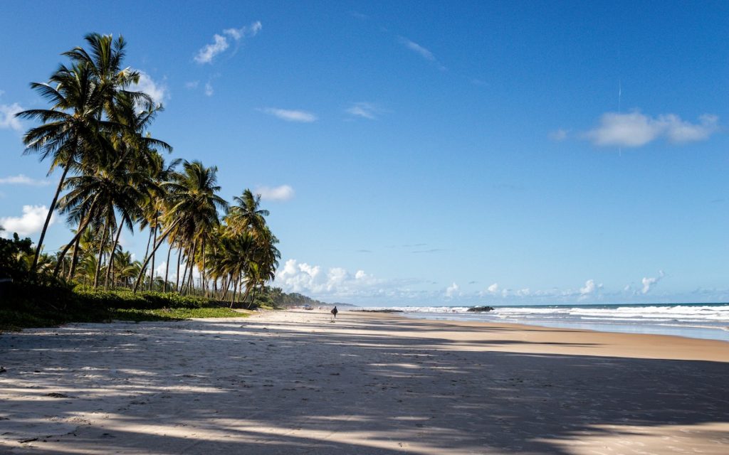 Viajar a Praia do Forte, Brasil