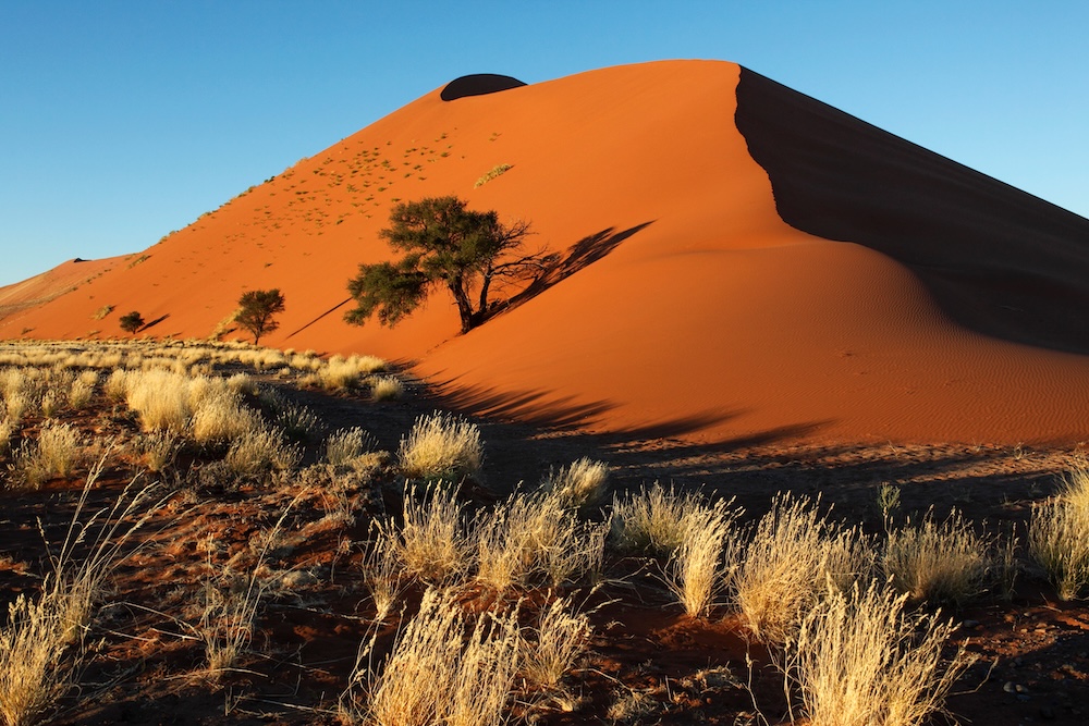 Desierto del Namib, Namibia.