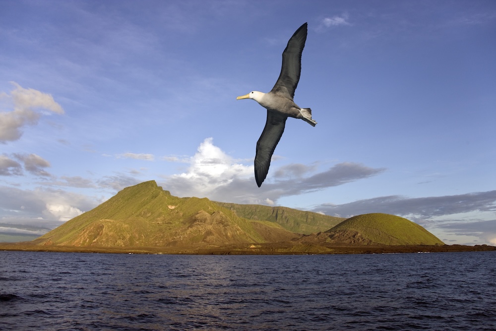 Islas Galápagos, Ecuador.