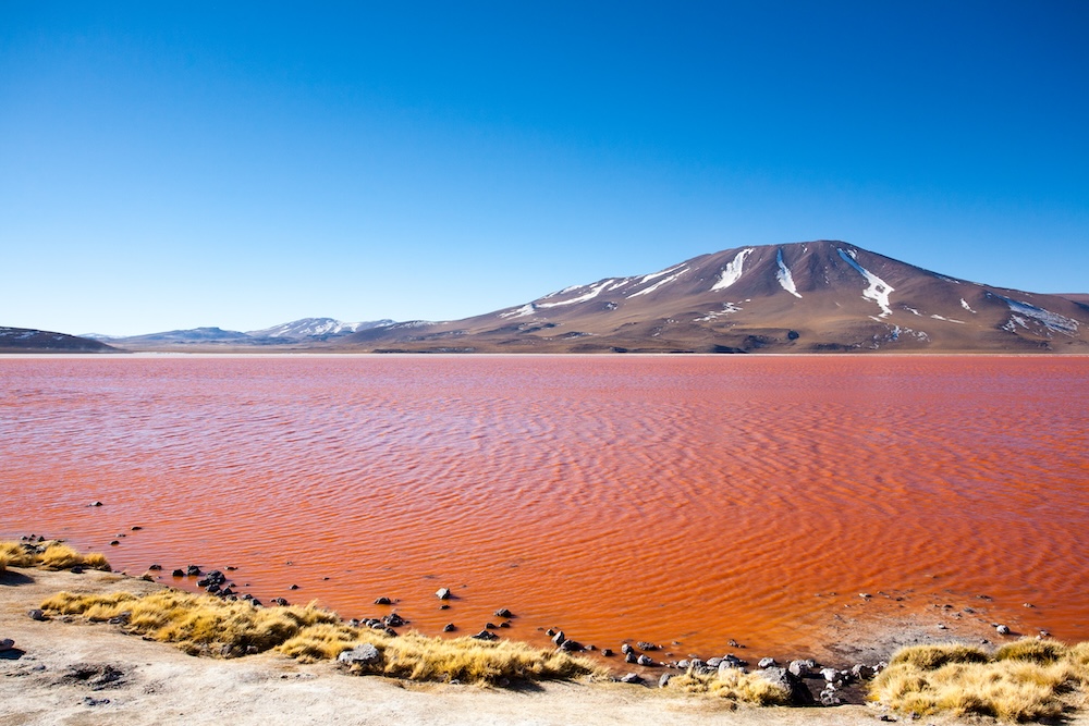 Laguna colorada en Bolivia