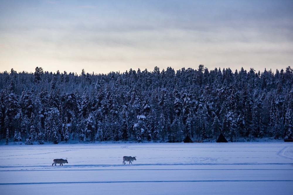 Laponia en Finlandia. 