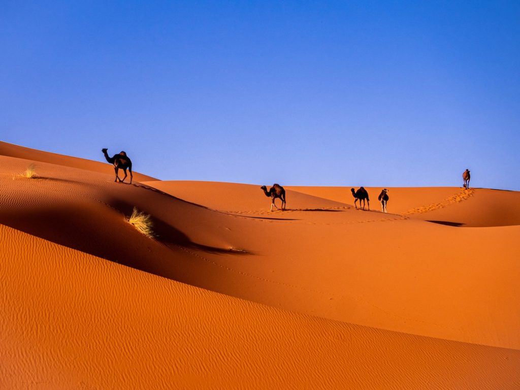 Desierto de Marruecos