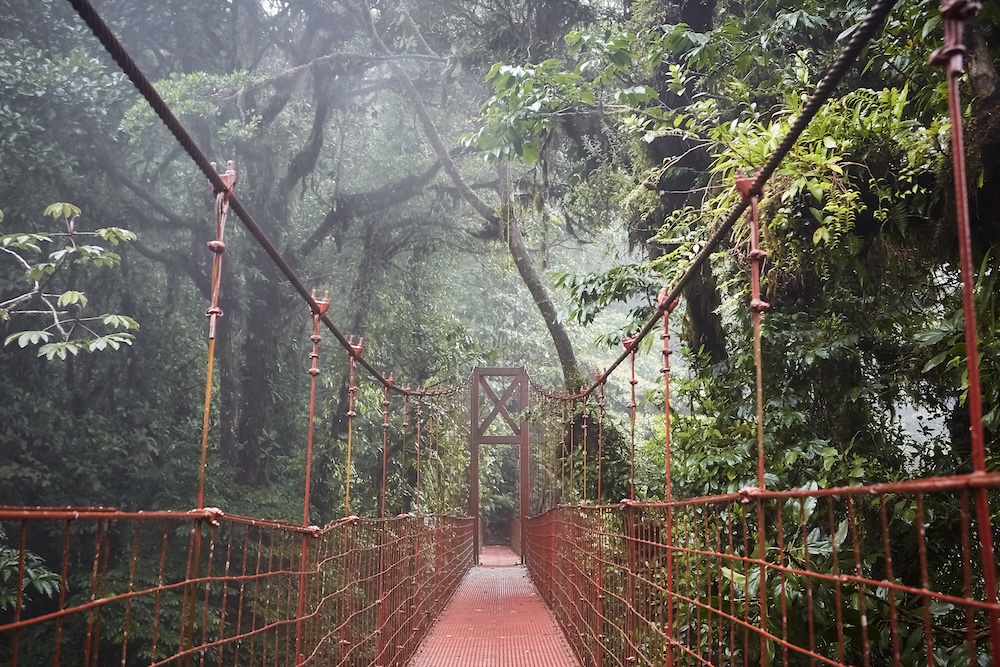 Bosque Nuboso de Monteverde, Costa Rica