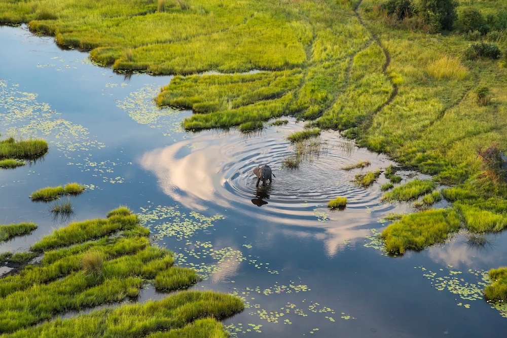 Delta del Okavango, Botsuana