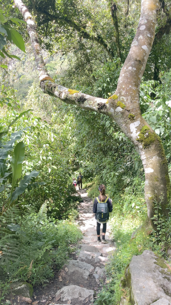 Salkantay Trek a Machu Picchu
